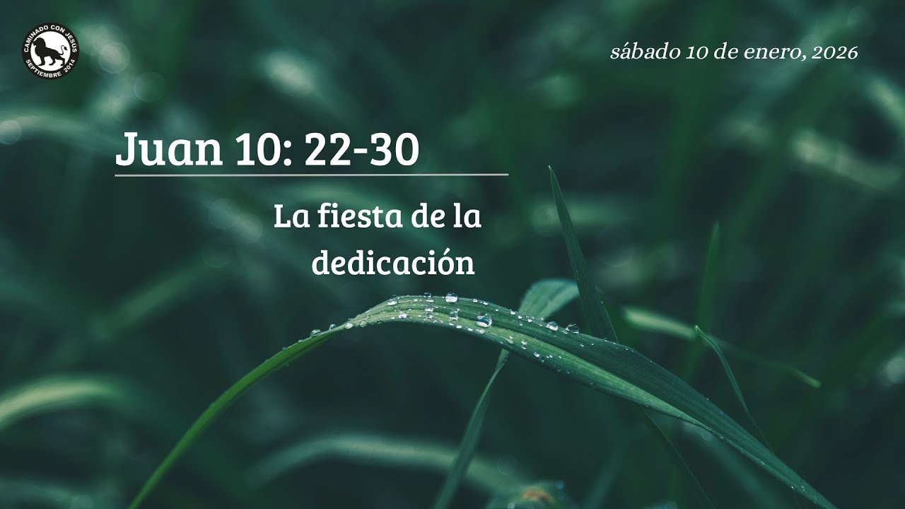 La fiesta de la dedicación | Juan 10: 22-30 | CCJ