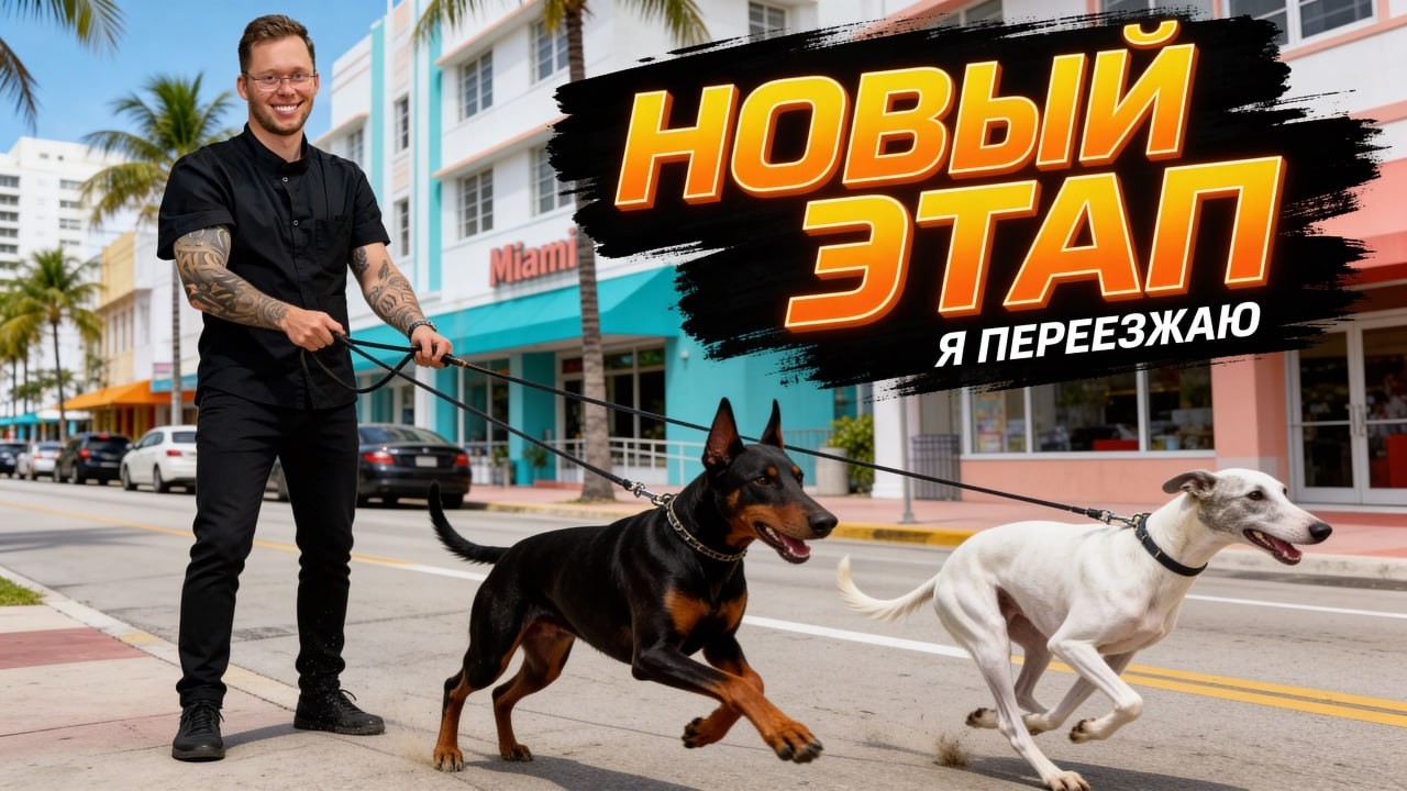 Новая жизнь: девушка, две собаки и статус спикера. Что со мной стало?