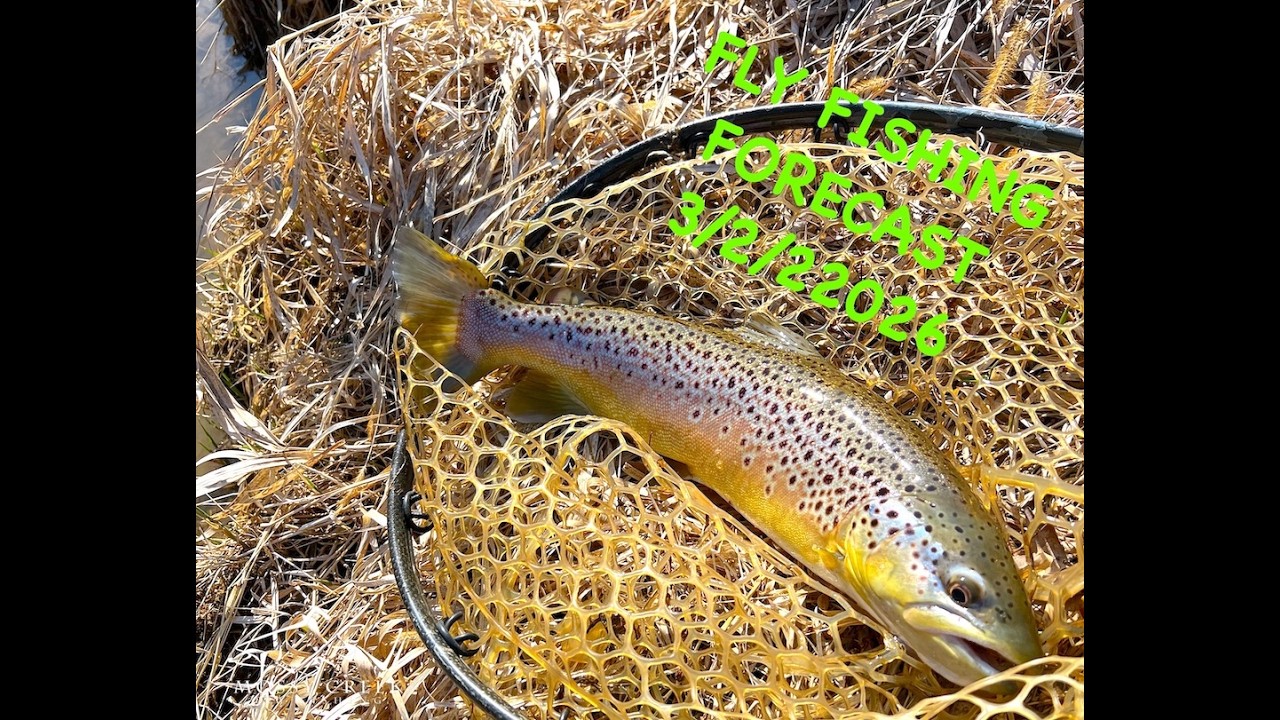 Mossy Creek Fly Fishing Forecast 3/2/2026