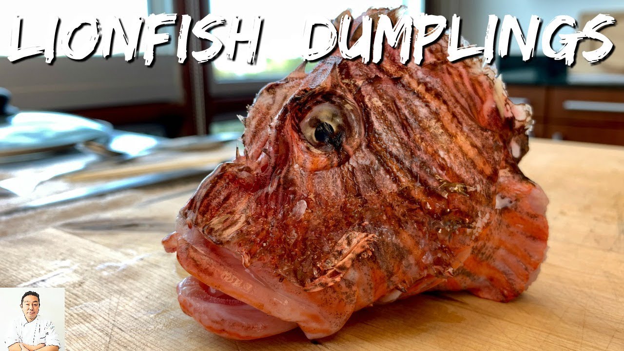 Fresh Lionfish Dumplings | Clean, Pan Seared and Steamed | FAST FRIDAYS