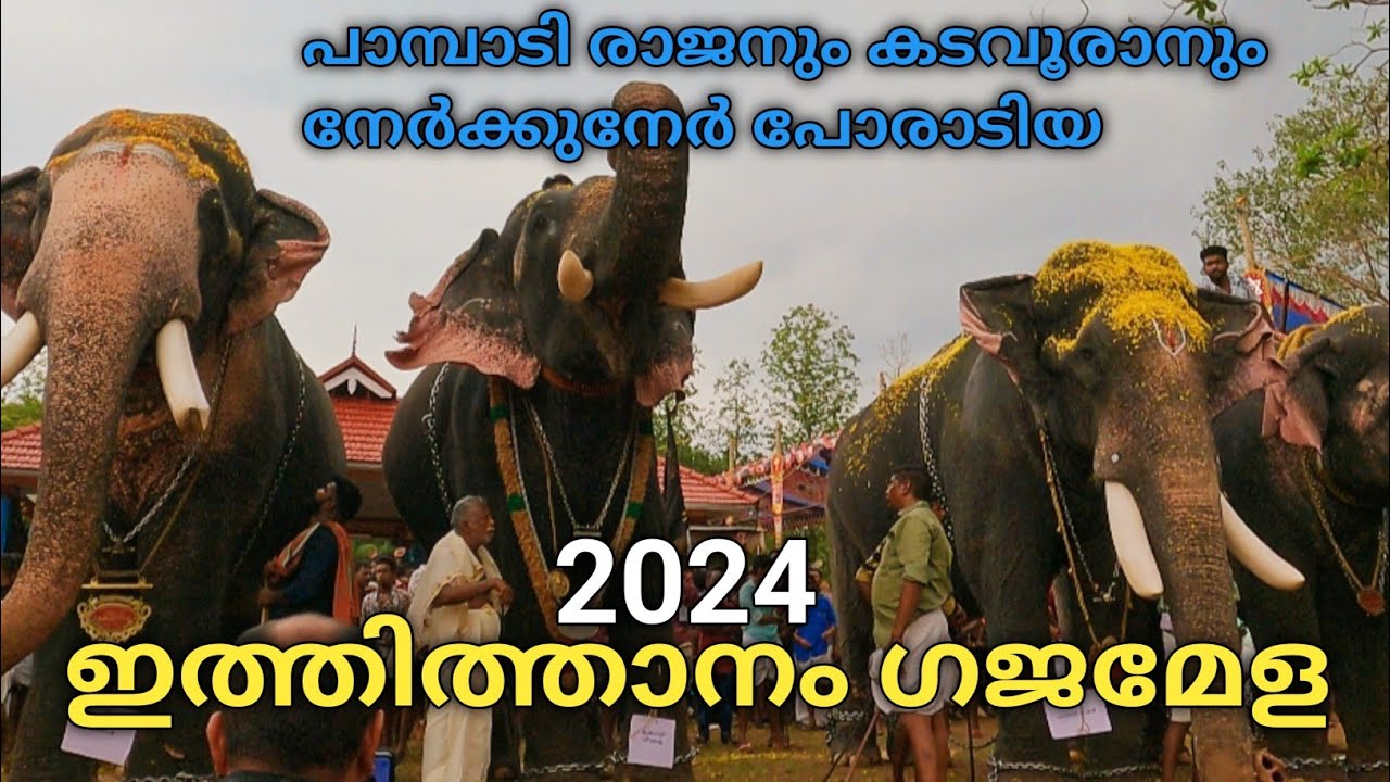 ഇത്തിത്താനം ഗജമേള 2024|Iththithanam Gajamela 2024| Iththithanam Elamkavil Devi temple