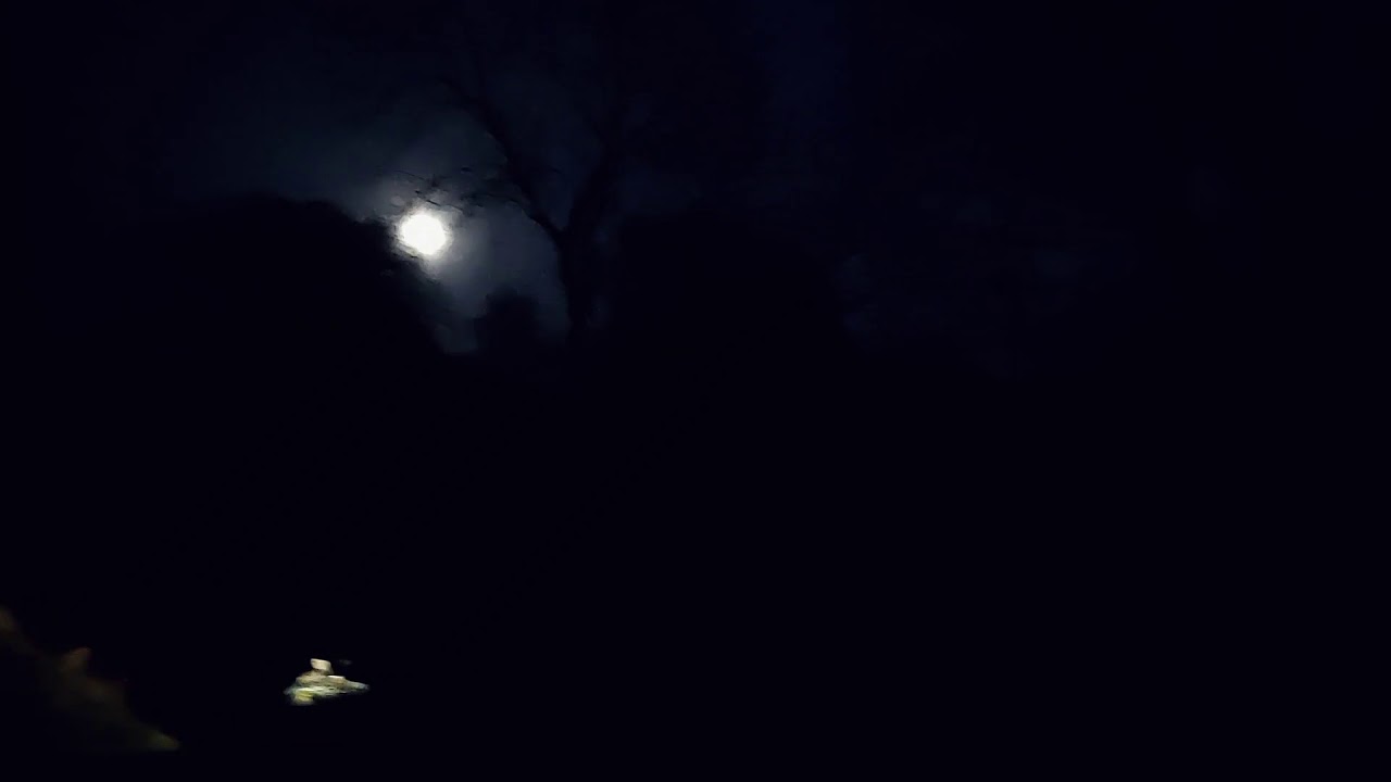 Moonlight on the Macclesfield canal.