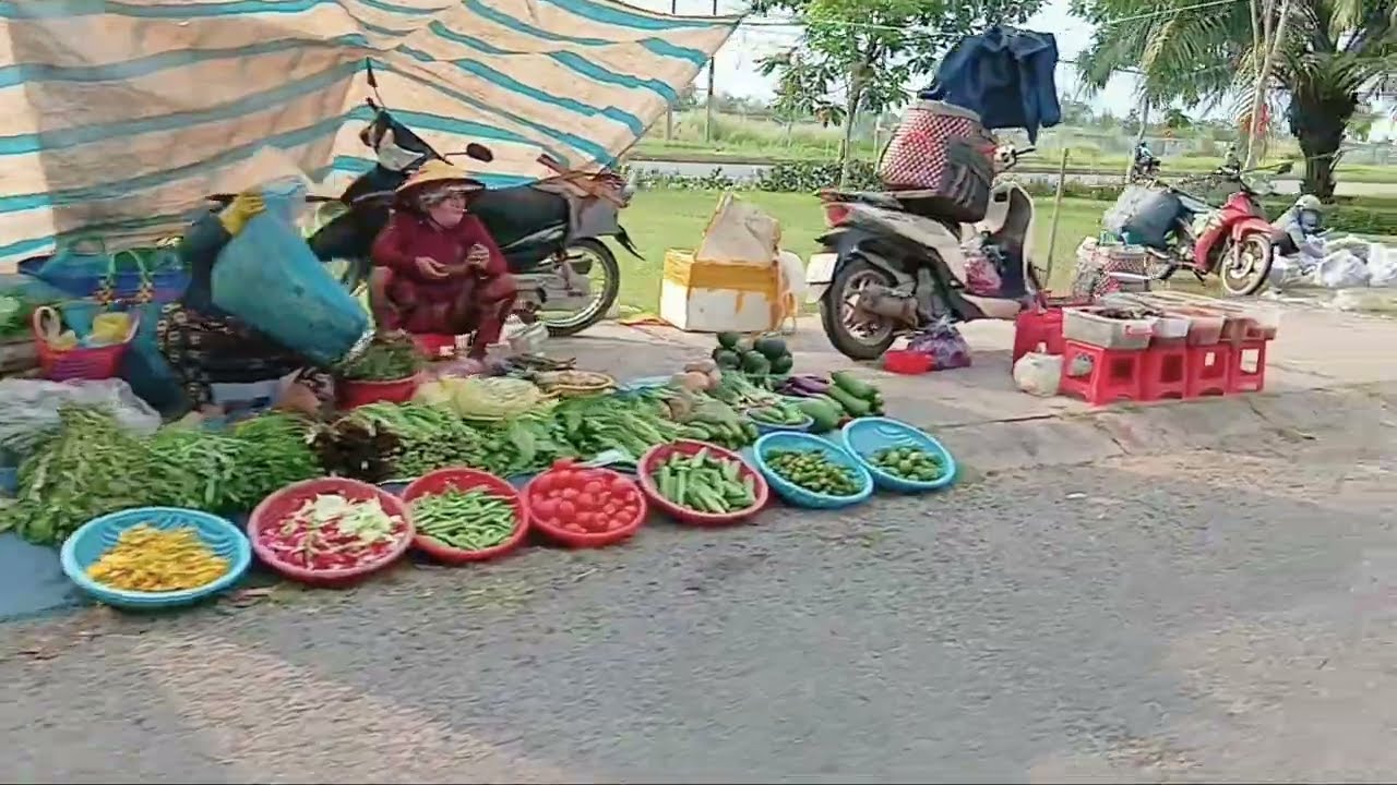 A Quiet Afternoon in Rural Vietnam | Peaceful Village Life