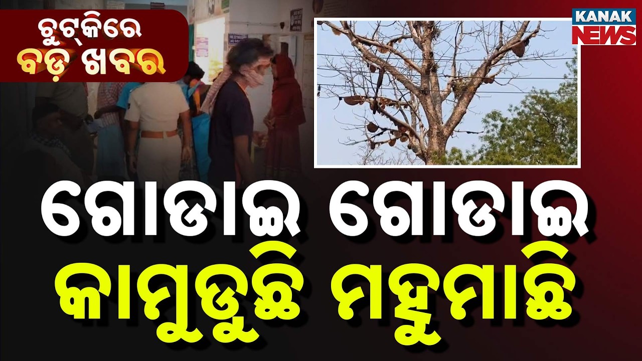 Chutkire Bada Khabar || 11th MARCH 2026 || 10PM Digital Bulletin || Kanak News