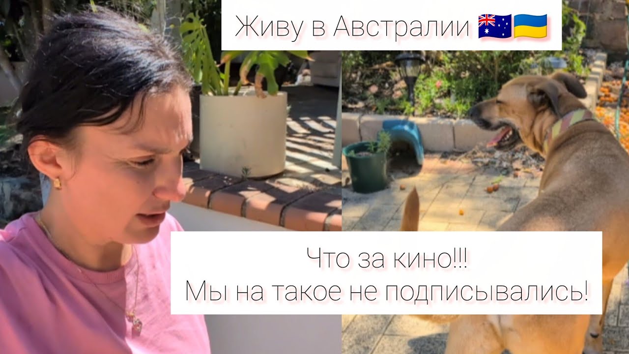 Живу в Австралии 🇺🇦🇦🇺.Что за кино в нашем доме!!Я на такое не подписывалась. #україна #австралия 