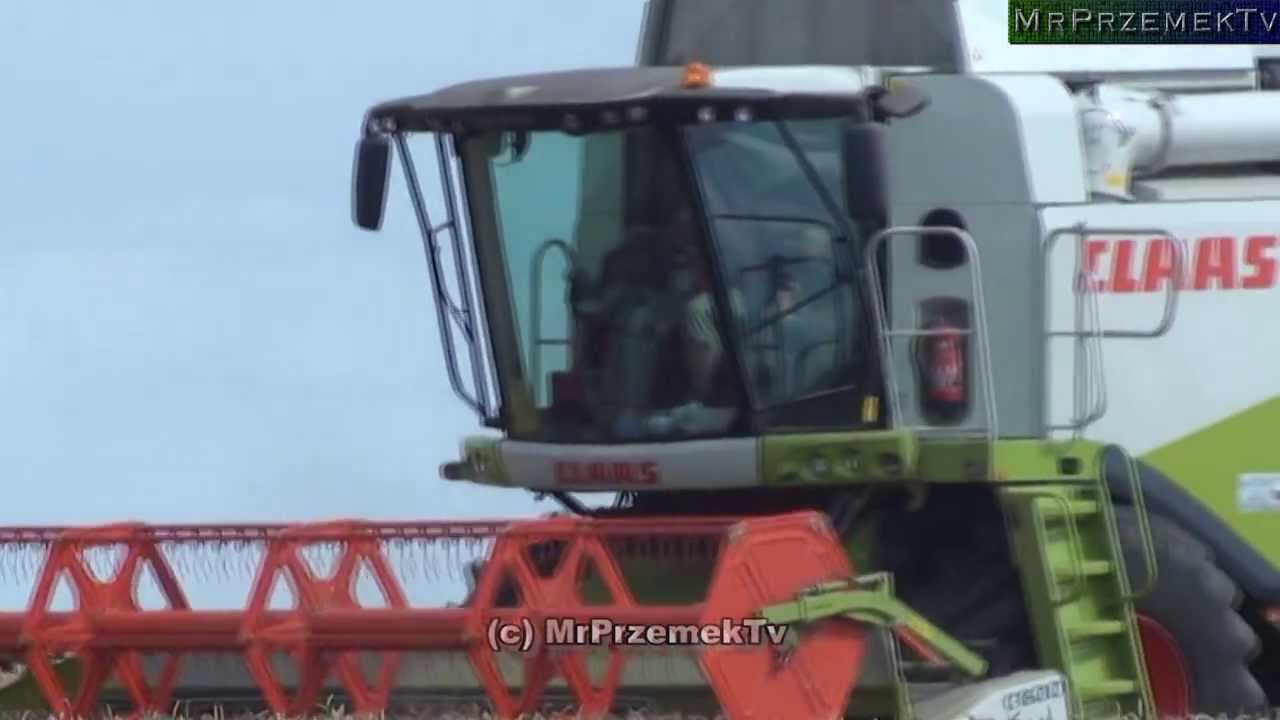 Żniwa na Roztoczu 2013 ||Claas Lexion 650 & Bizon BS||