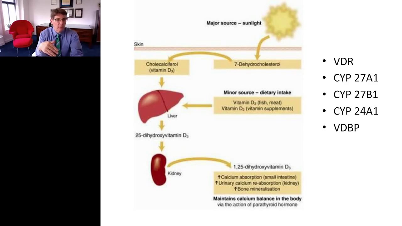 Gregory Plotnikoff - The Clinical Utility of 1,25 Dihydroxyvitamin D