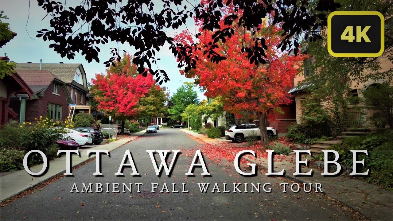Ottawa Glebe: A Hidden Gem of Canadian Charm - 4K Fall Walking Tour