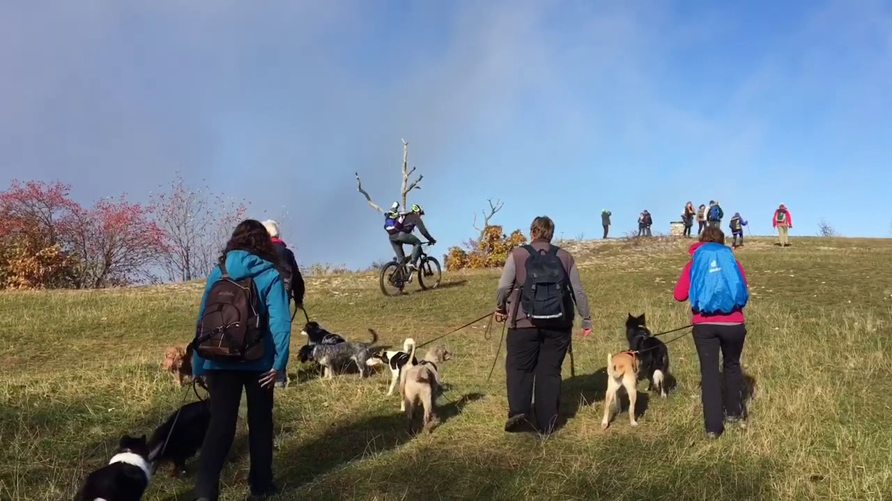 KOMOOT-TOUR: Runde bei Ochsenwang