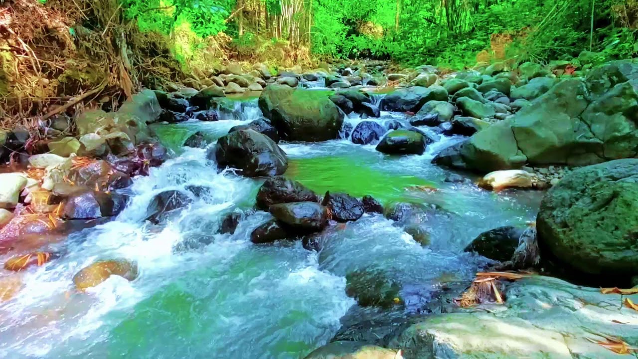 4K Peaceful River White Noise for Insomnia and Better Night Sleep