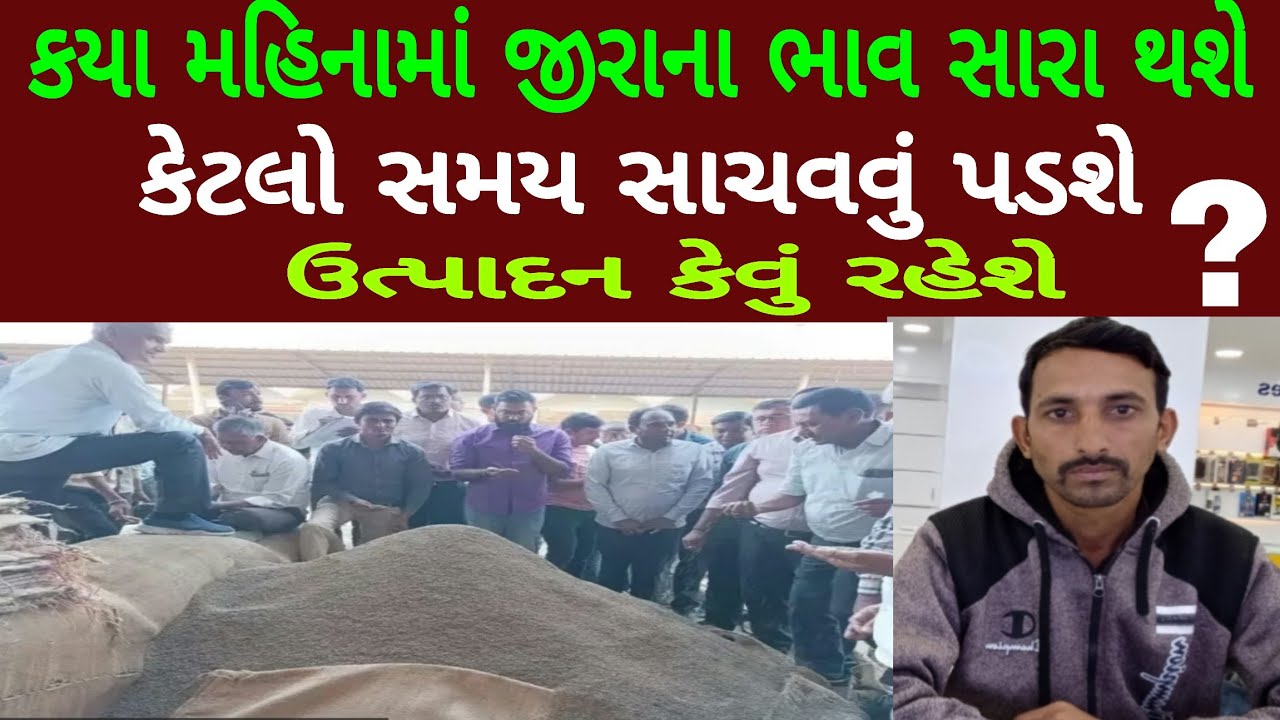 કયા મહિનામાં જીરાનો ભાવ સારો થશે, જીરા કેટલો સમય સાચવવા પડશે, જીરા ક્યારે વેચવા, ઉત્પાદન કેવું રહેશે