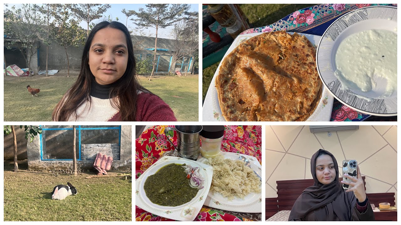 Mashallah kitna pyra rabbit hai white wala😶‍🌫️||nshta ma paratha or dinner ma sag khya❤️||HF 57