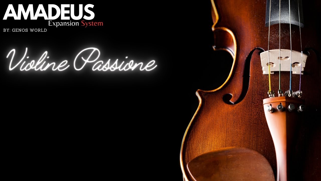 Theme from Schindlers Liste AMADEUS Violine Passione