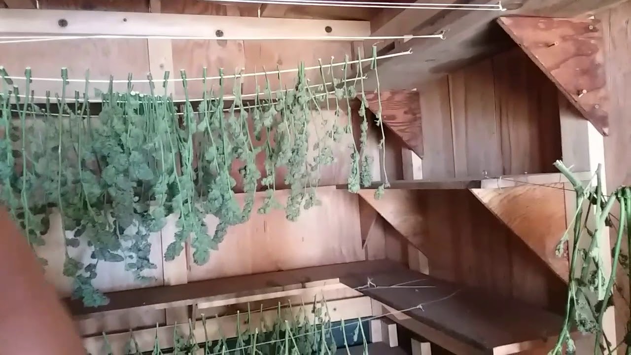 Hanging and drying