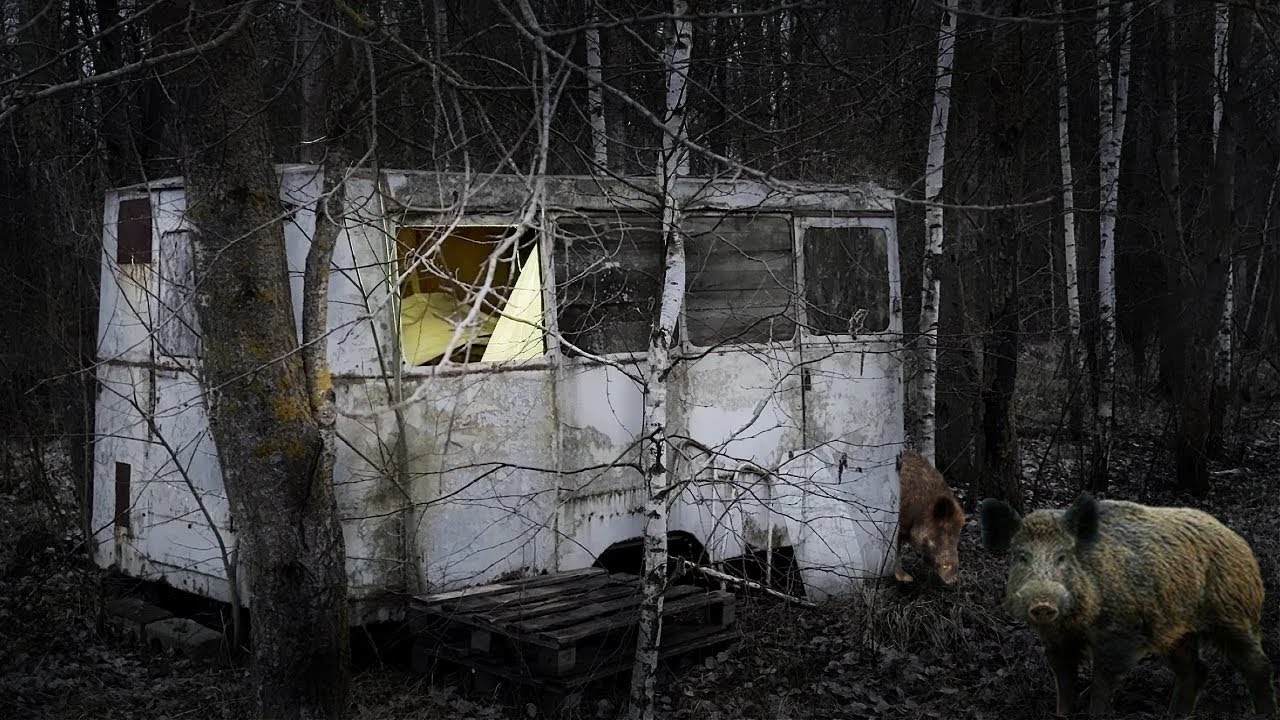 I Spent a Terrifying Night in an Abandoned Van