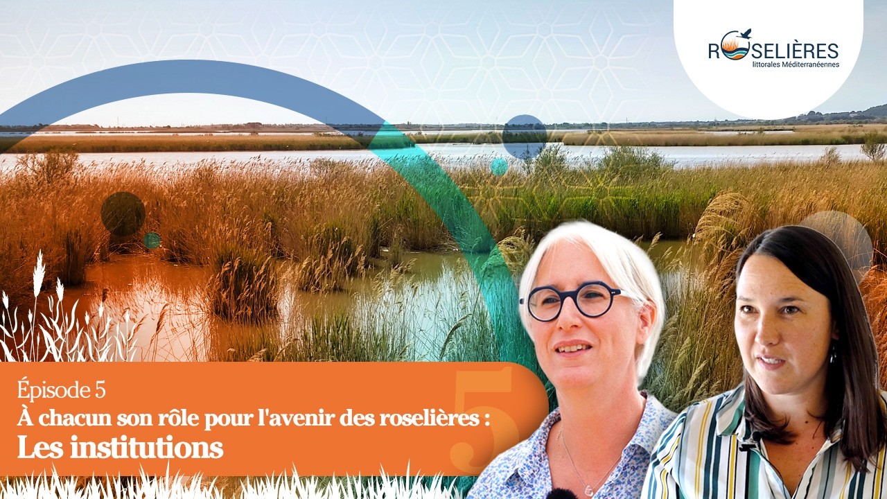 Épisode 5 - À chacun son rôle pour l'avenir des roselières : Les institutions