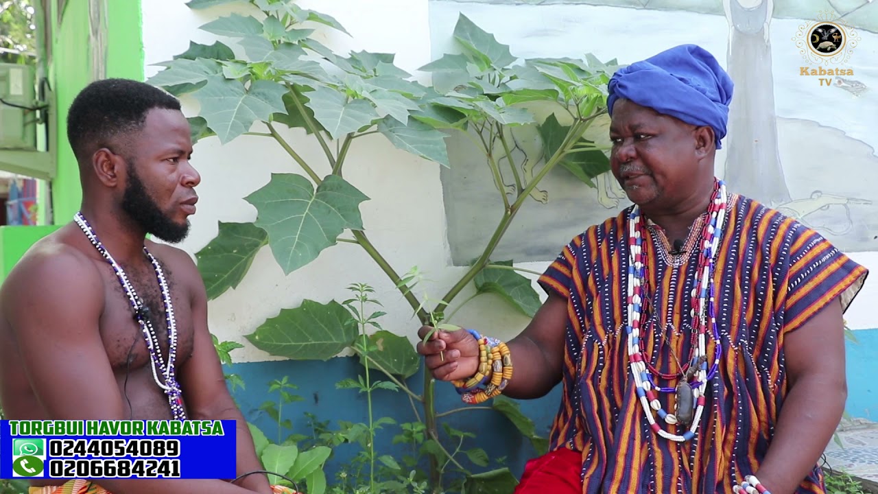 The Power Of Gbe-lelee Tree And Havor Miracle Soap By Torgbui Havor Kabatsa