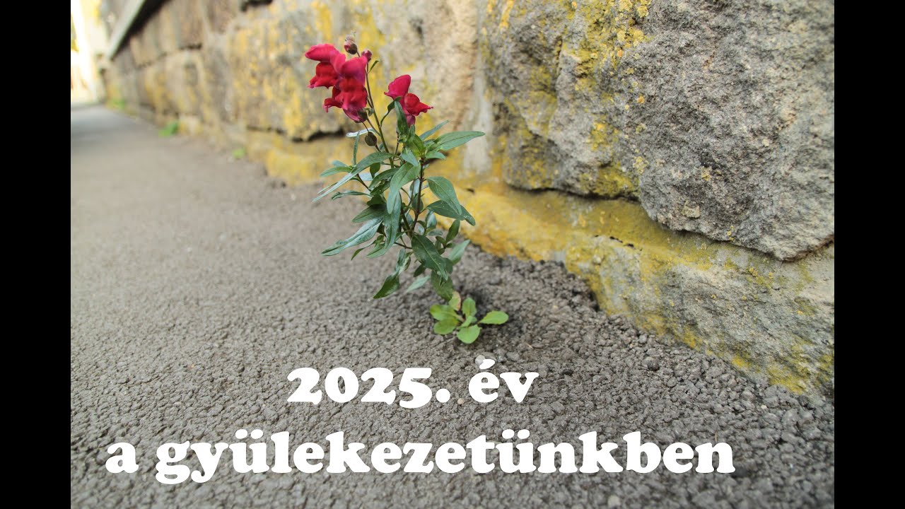 Gyülekezetünk 2025-ben. Képes visszatekintő