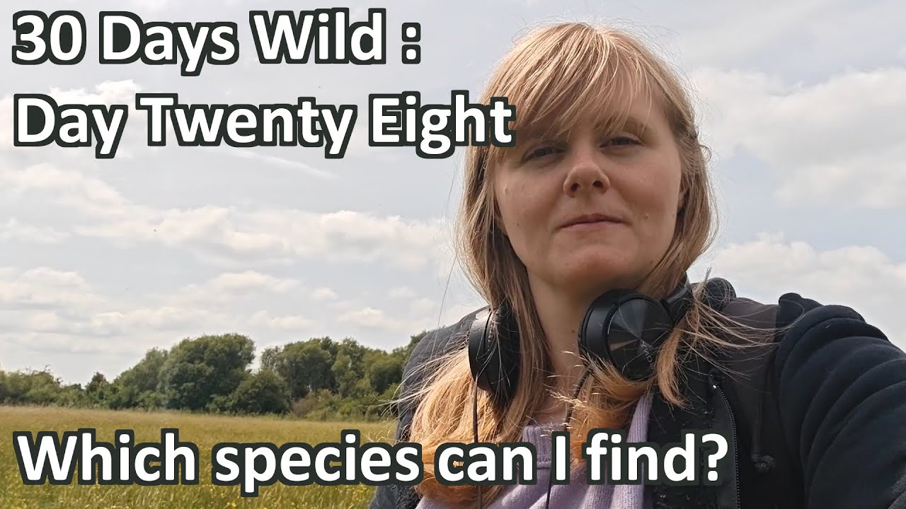 Looking for wildlife on a walk at a nature reserve in Northern Ireland during 30 Days Wild