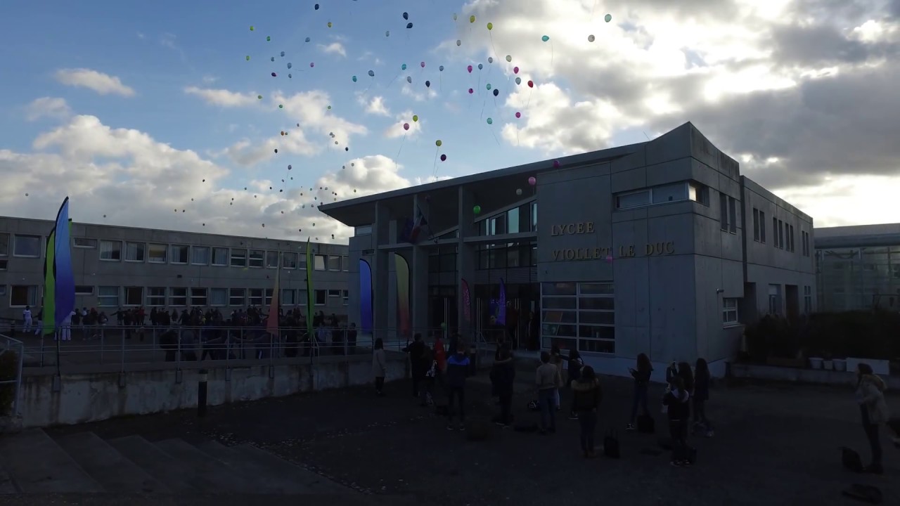 Mannequin challenge du Lycée Viollet le Duc