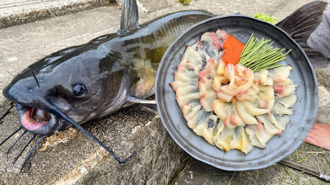 ナマズの刺身はフグの味がするらしい