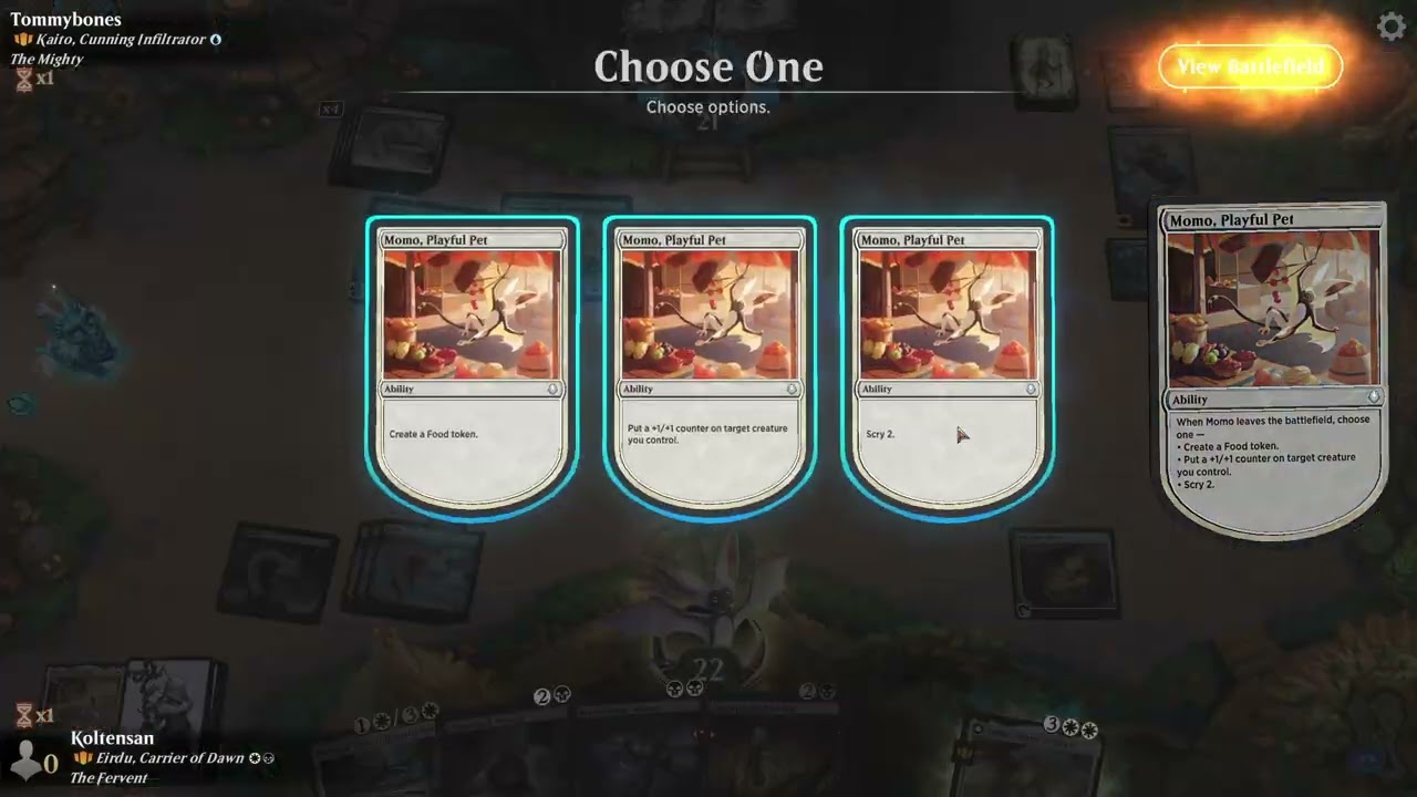 Eirdu vs Kaito