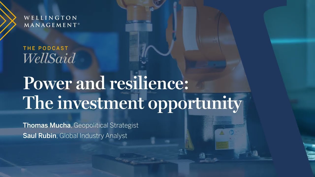 Power and resilience: The investment opportunity