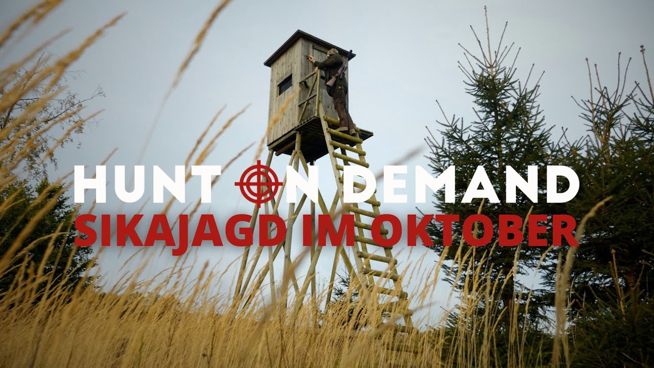 Sikajagd im Oktober 🍂 von @jagenNRW