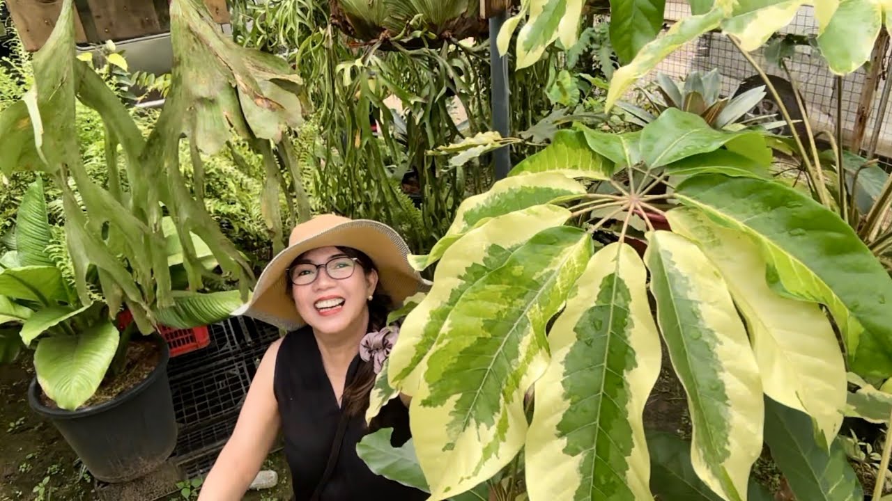 Visited Diane’s Garden in Silang again 🌿✨ Always a treat to see nature’s masterpieces up close