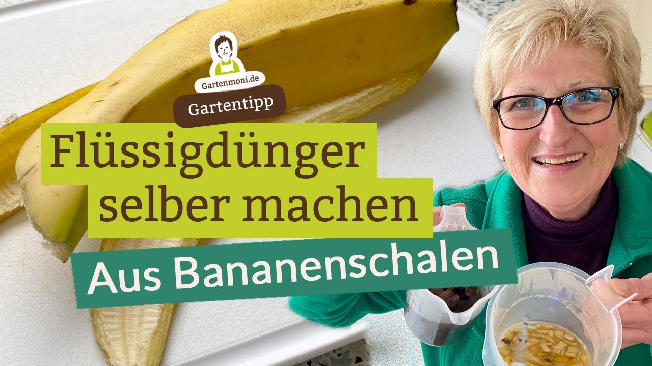 Flüssigdünger aus Bananenschalen selber machen - Bestens für Rosen, Orchideen, Fuchsien, Geranien