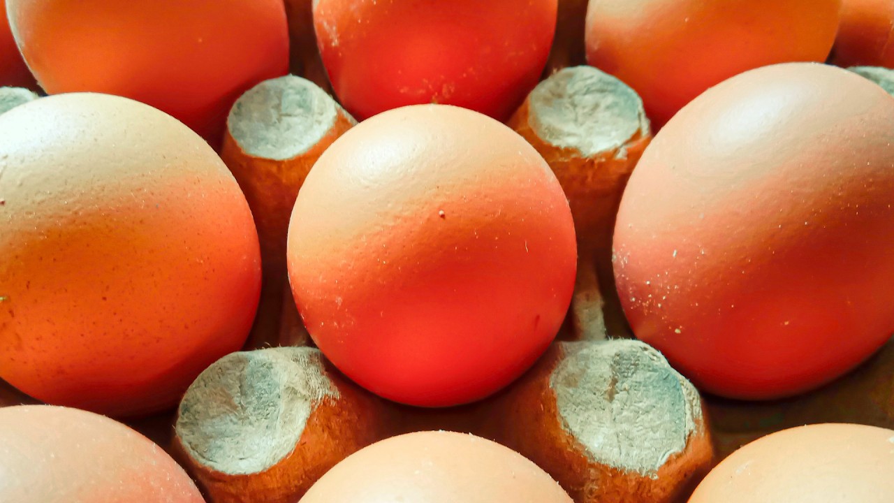 The Absolute Best & Worst Egg Brands To Buy