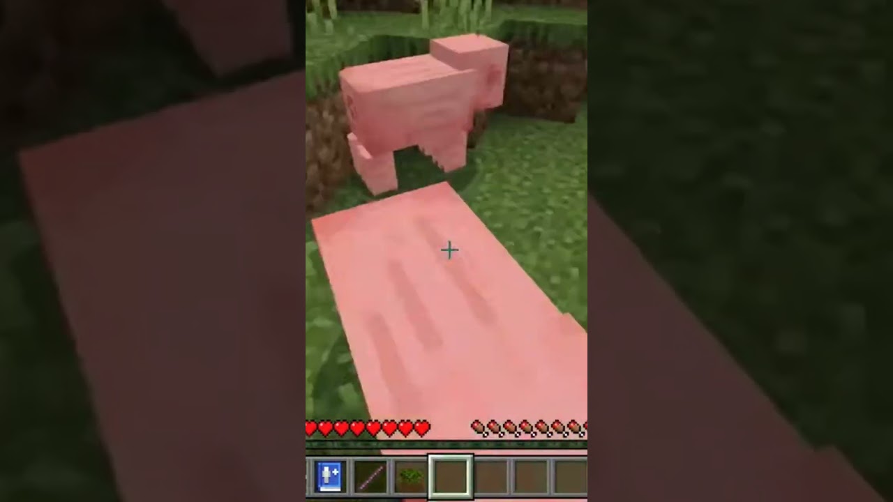 no pigs were harmed in the making if this video 