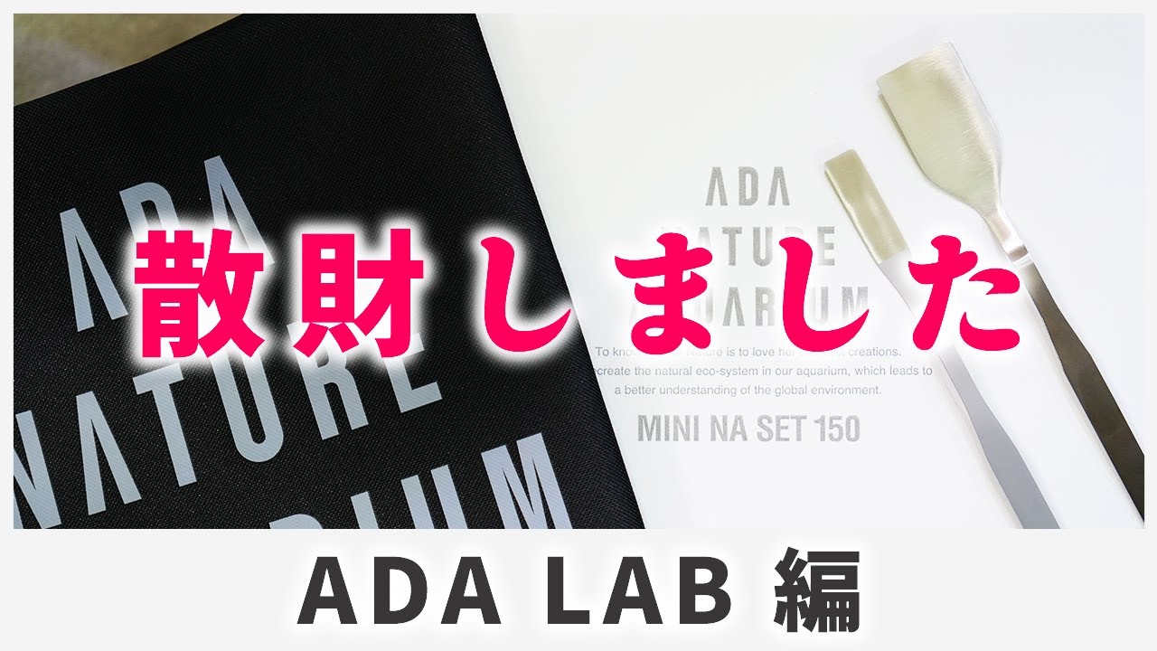 ADALABで2024年最後の散財＆新商品購入【アクアリウム】