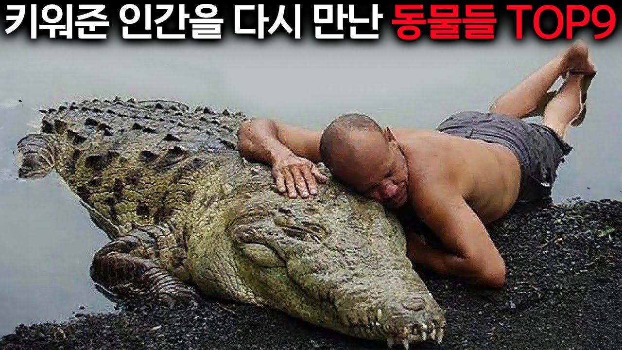 다시 찾아와줘서 고마워