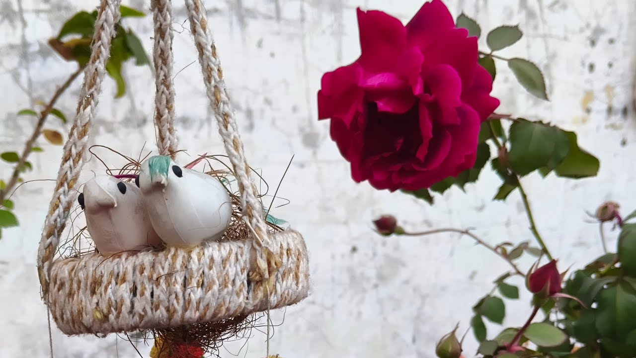 NAVITA HOME GARDEN is live! Beautiful Garden View|Mostly Rose Flowers|Hanging planter|jhula