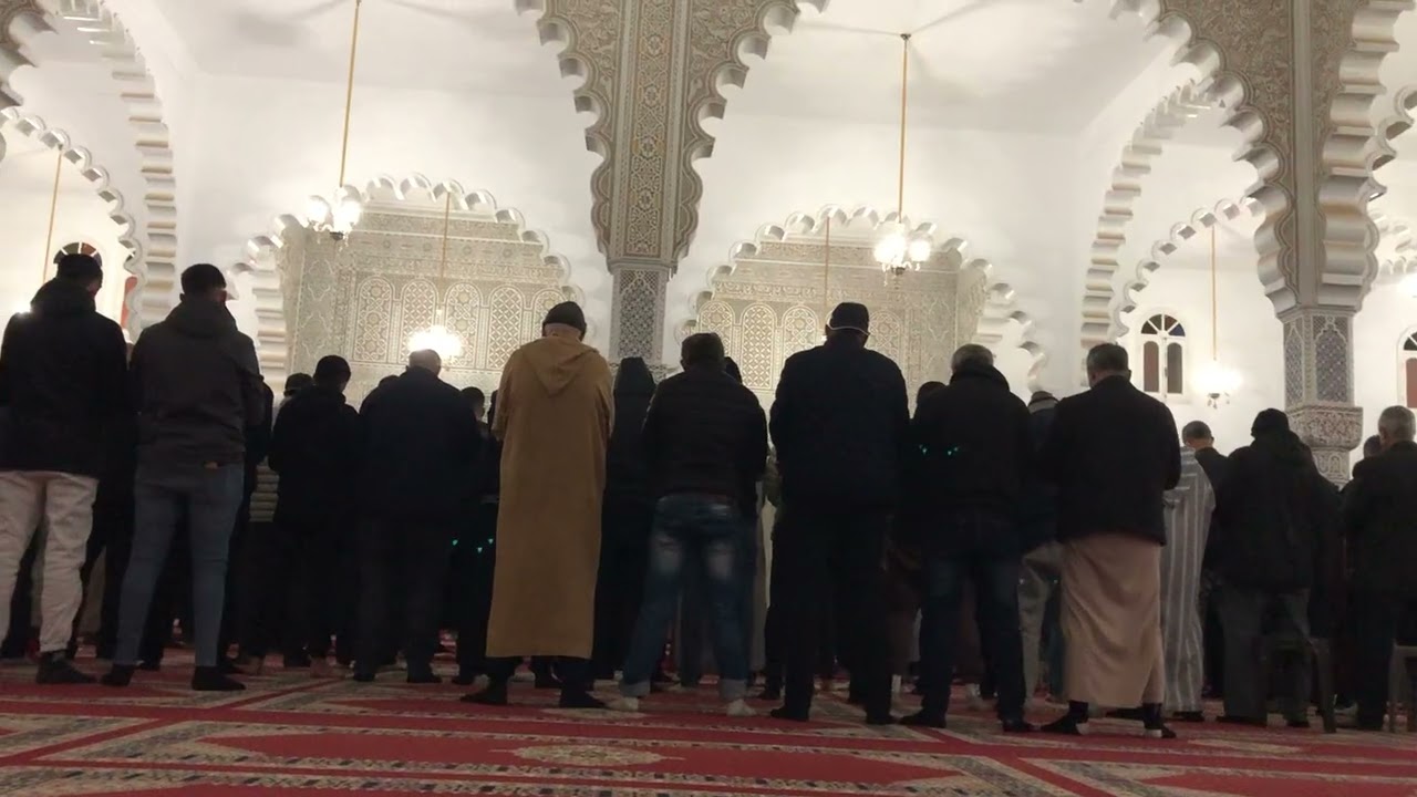مباشرة من سلوان : أجواء إيمانية خاشعة في صلاة التراويح اليوم الثالث من رمضان  بمسجد بدر 