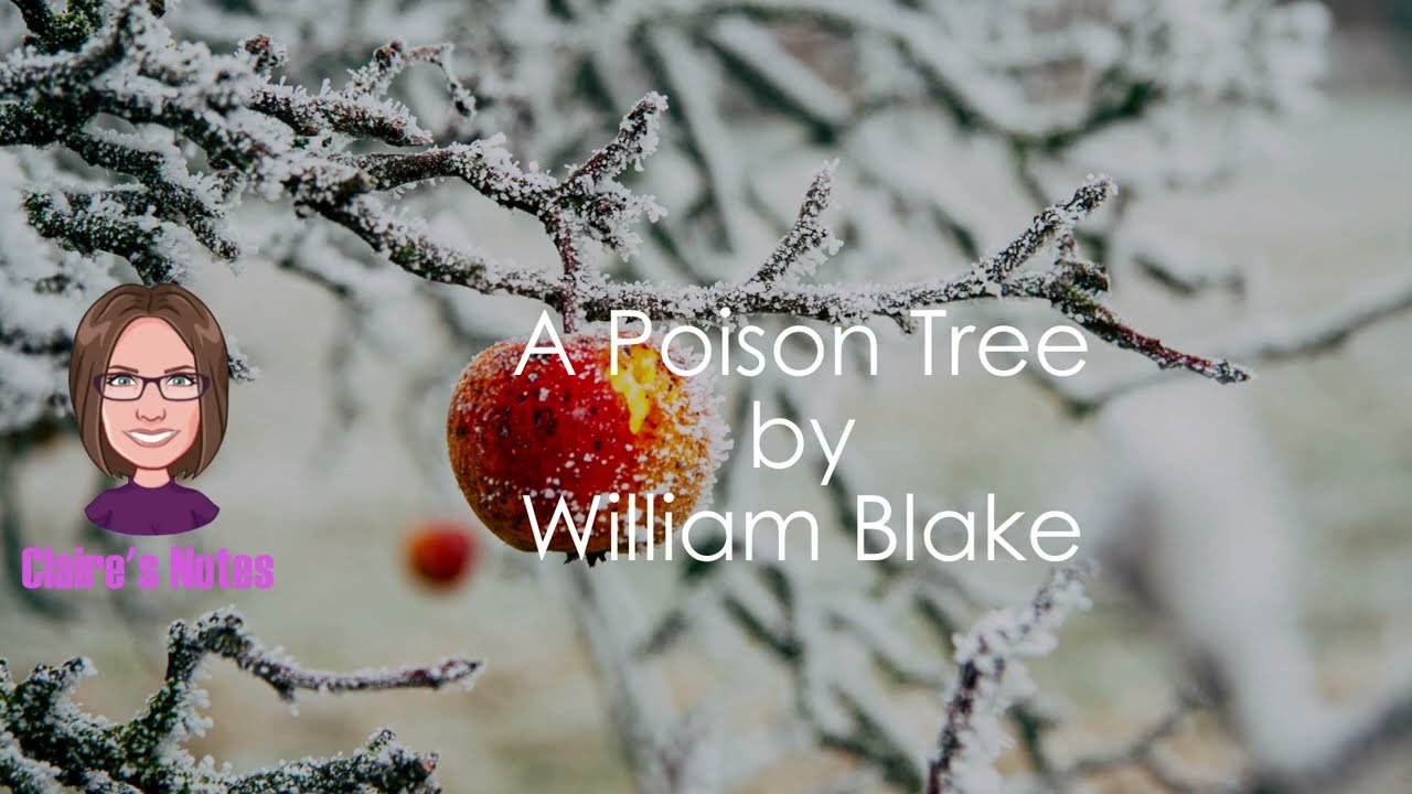 A Poison Tree by William Blake (detailed analysis)