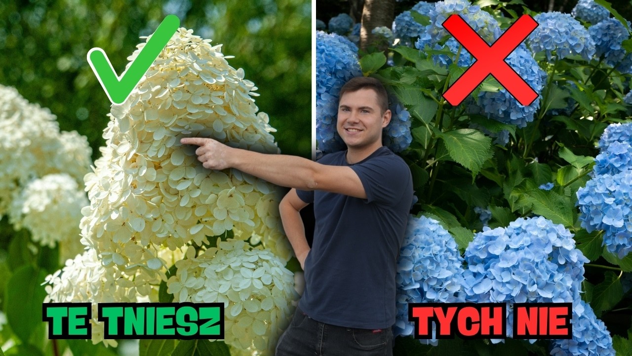 Które rośliny przycinamy wiosną, a których NIE? ❌🌿 Lista + najczęstsze błędy