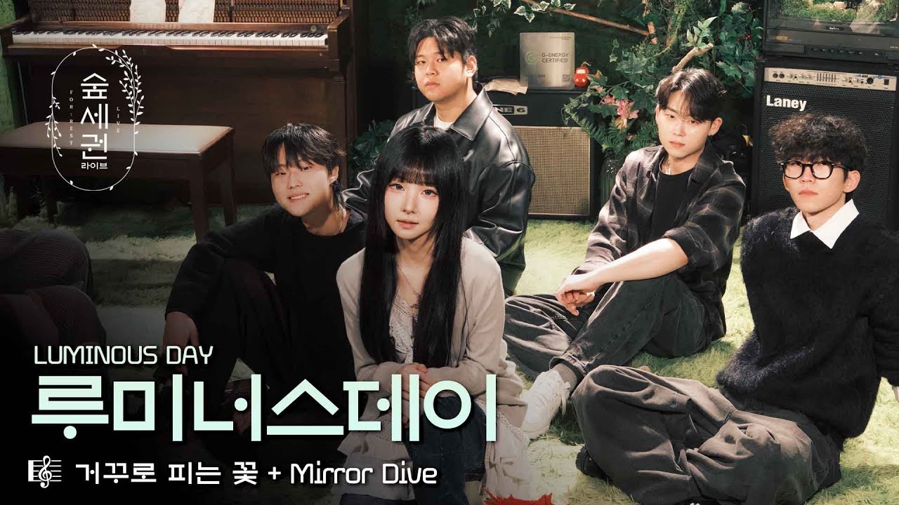 조용한 숲, 오늘은 루미너스데이가 밝힙니다 | 루미너스데이 (Luminous Day) | 거꾸로 피는 꽃 + Mirror Dive | 숲세권 라이브 (For:Rest LIVE)