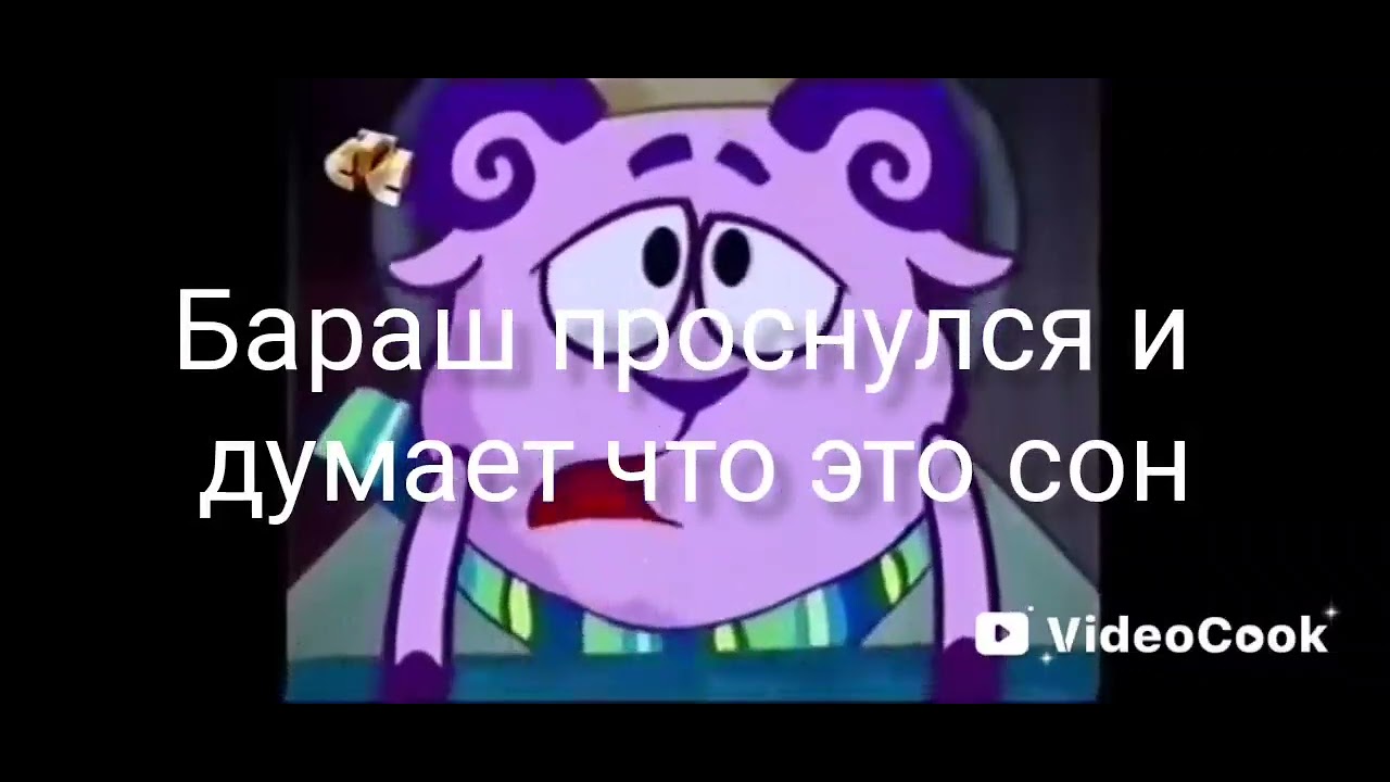 Обзор инцидента канала СТС 2009 ГОДА