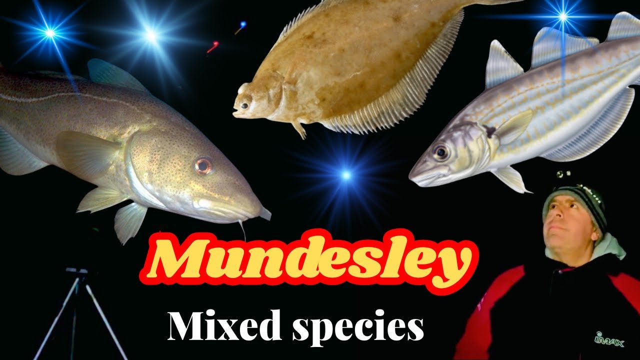 CODLING DROPS OFF AT MY FEET!😬🎣 | Mundesley Mixed Species -4°C Frozen Beach Session | Sea Fishing UK