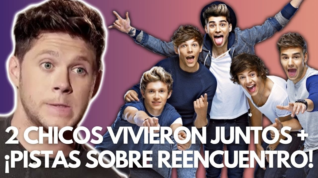 Niall Horan Reveló Pistas sobre un Posible Reencuentro de One Direction?!