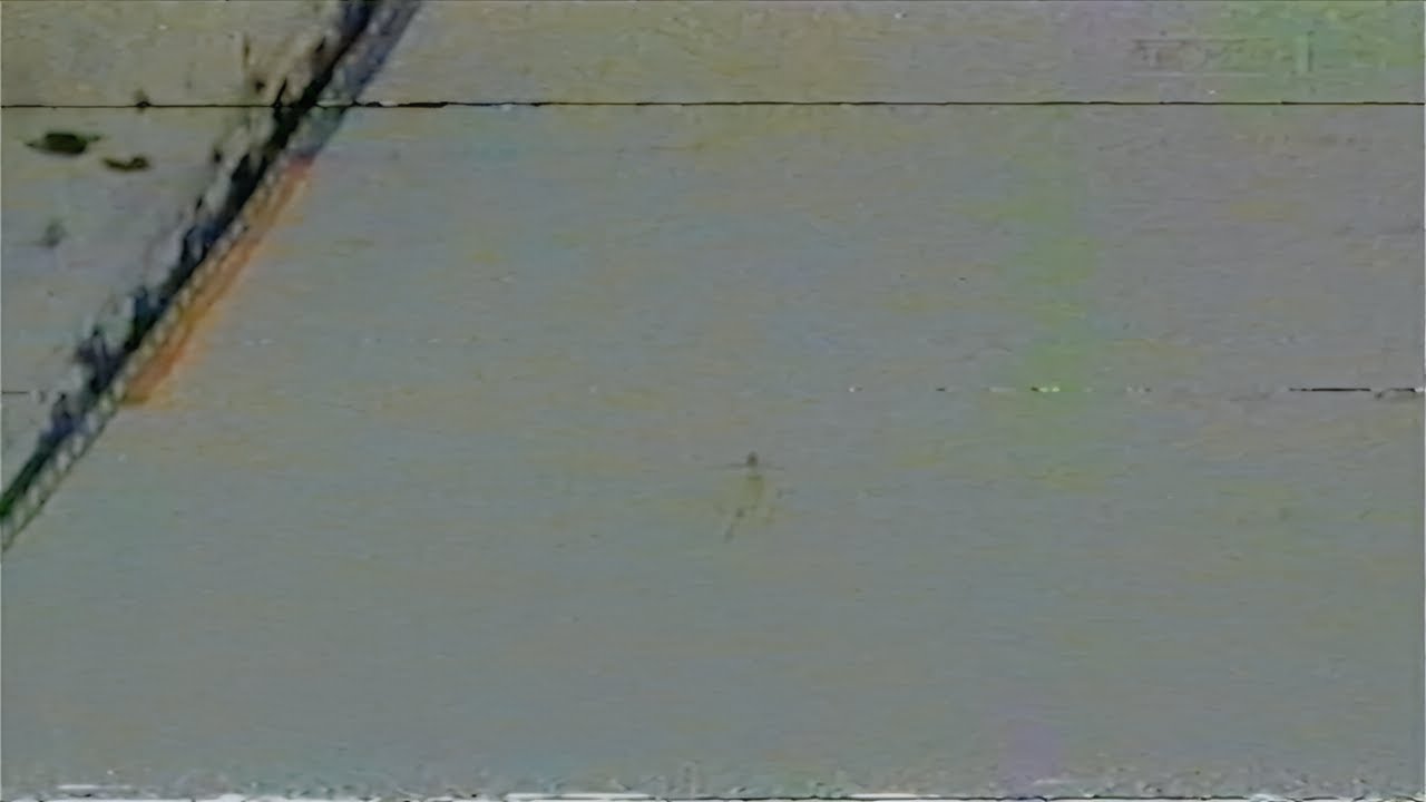 Program Pierwszy - Fragment sportu z pocz. wiosny 2004r