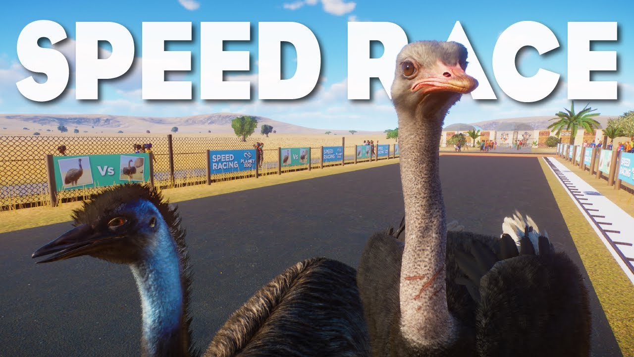 Can Emu beat Ostrich in a Speed Race? Planet Zoo Racing Challenges!