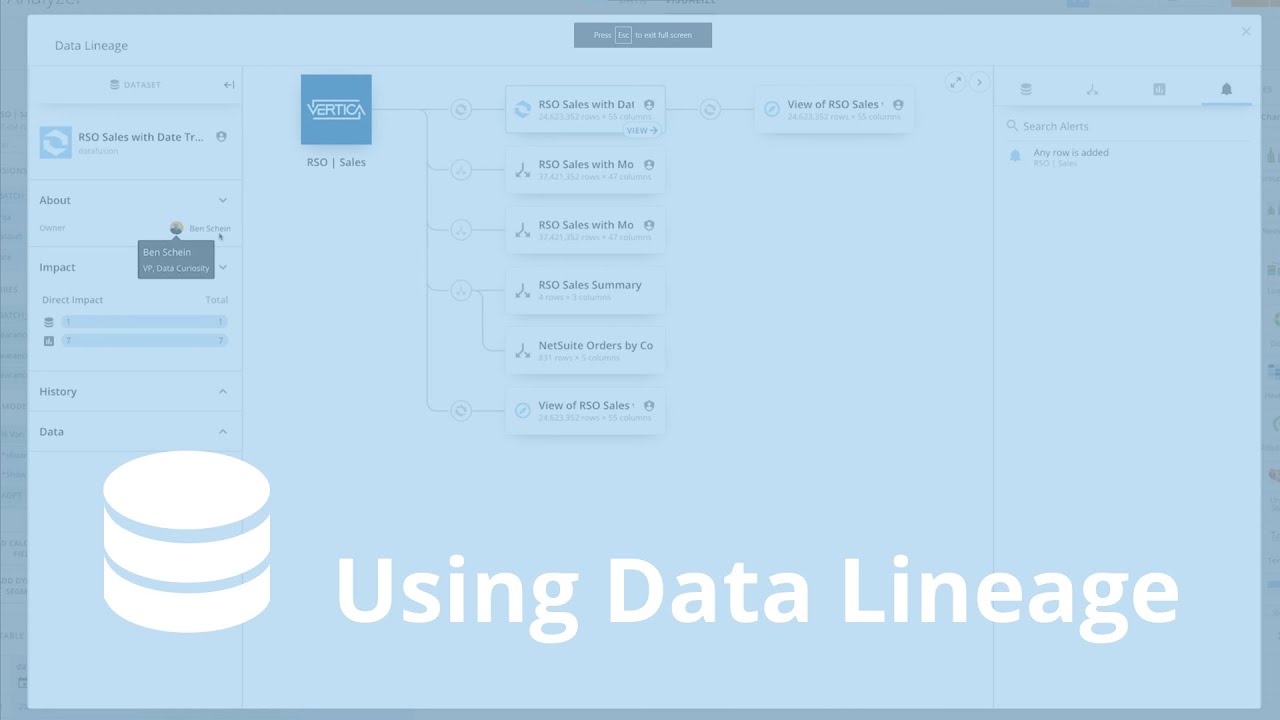 Using Data Lineage