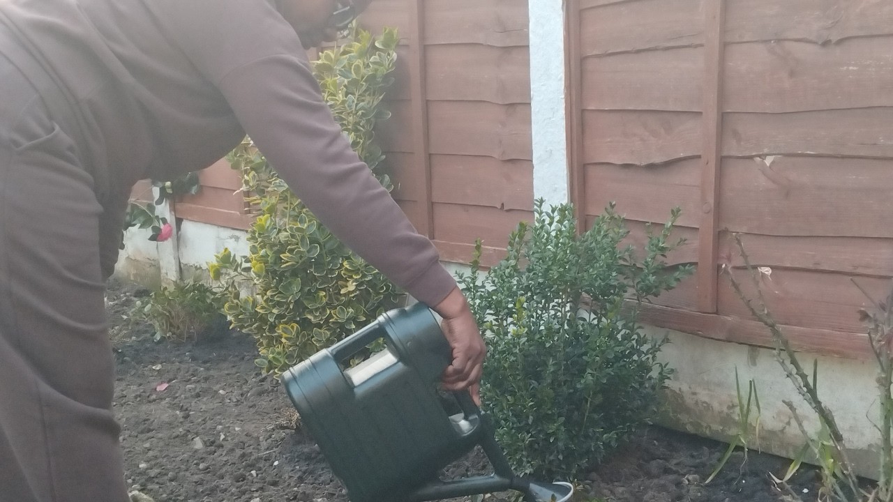 This Is What I Have Been Up To | Autism Mom #autismawareness #gardening #foodpreparation