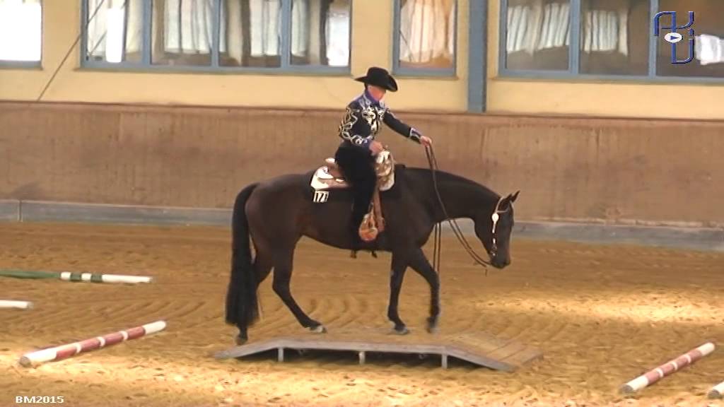 Bayerische Meisteschaft 2015 Trail