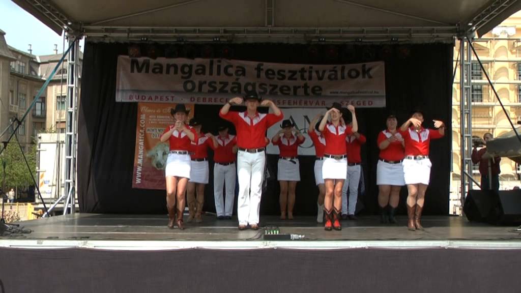 Dancing Boots Country Linedance Club-Country roads-fellépés Mangalica fesztivál 2014. április 13.