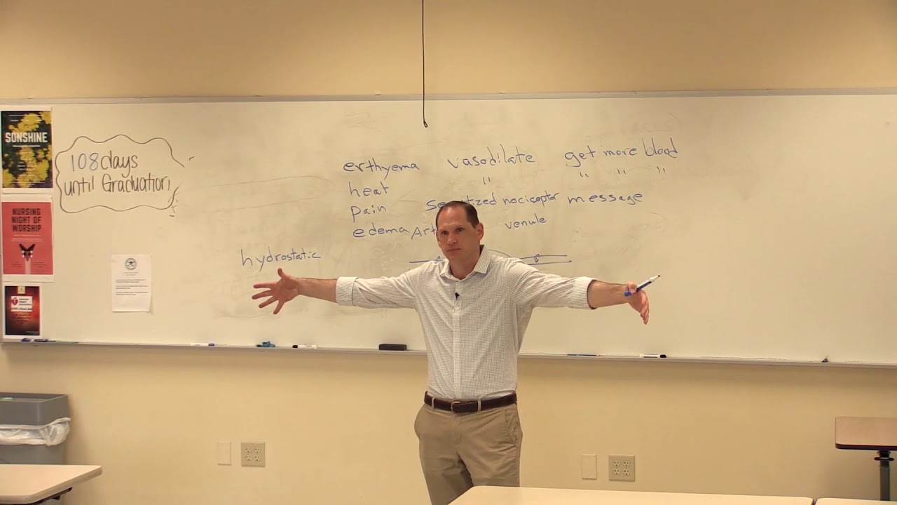 Inflammation and Immunity pt 1 | Nursing | Pathophysiology Pharmacology 1