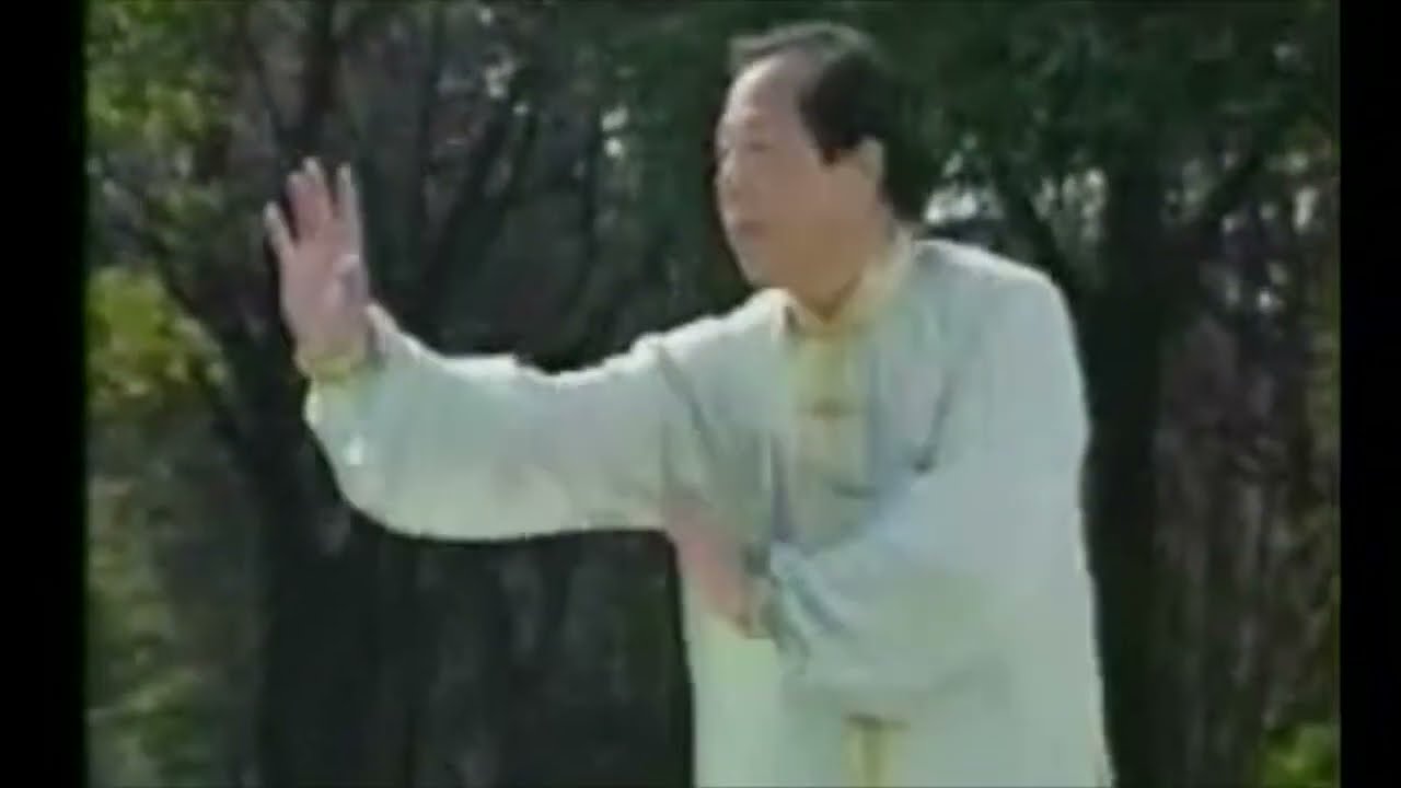 Master Feng Zheng Bao, 8 Animals Form Baguazhang
